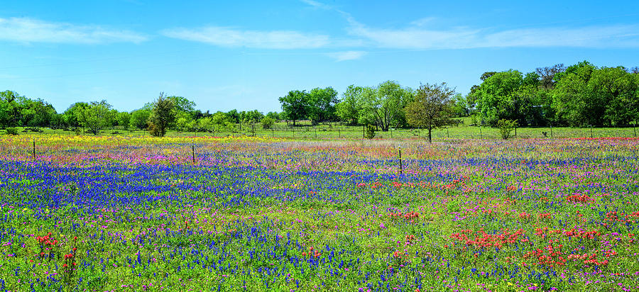 Hill Country Pastel Panorama Photograph by Lynn Bauer
