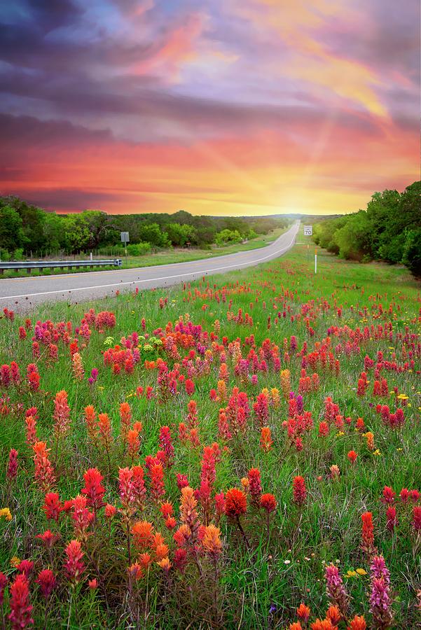 Hill Country Prairie Paintbrush at Sunset Photograph by Lynn Bauer