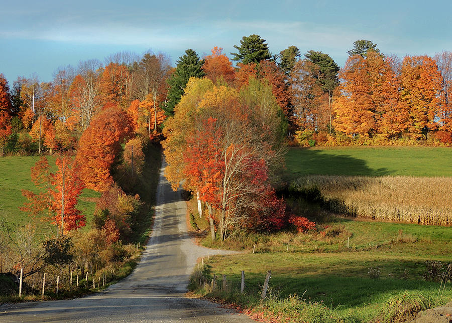 Hill of Color in Peacham Vermont Photograph by Nancy Griswold