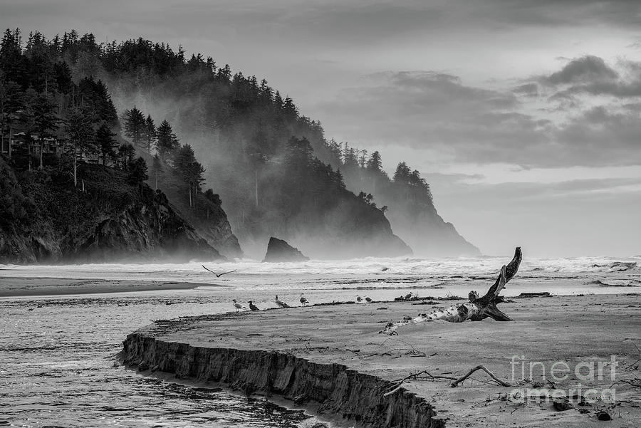 Hills And Mist At Proposal Rock BW Photograph by Al Andersen