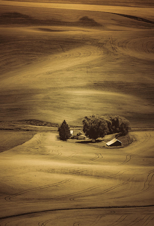 Hills and Swirls II Photograph by Don Schwartz