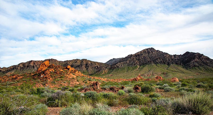 Hills Are Filled With Fire Photograph by David Thomas - Pixels