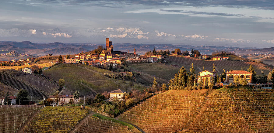 Hills Of Piedmont, Italy Photograph by Elvira Peretsman