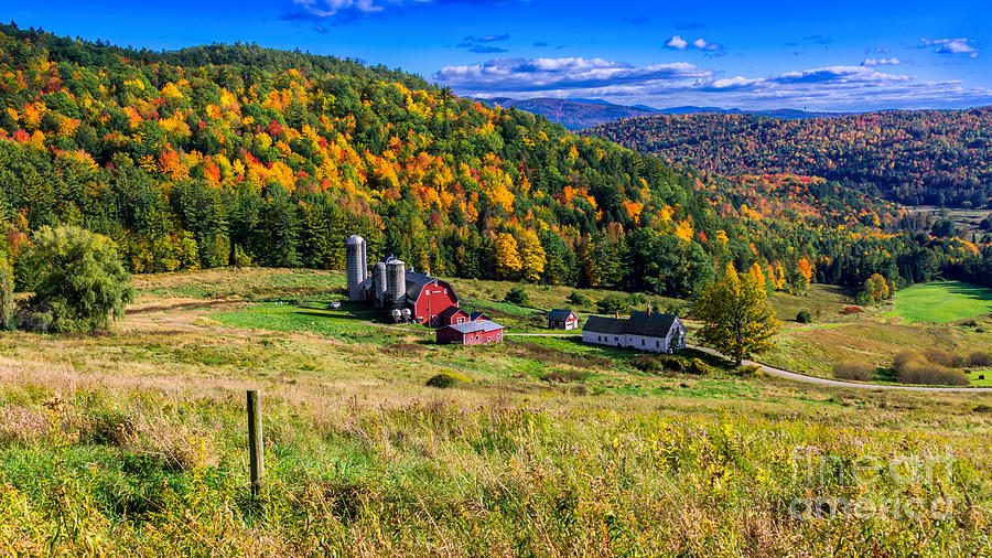 Hillside Acres Farm. Photograph by New England Photography
