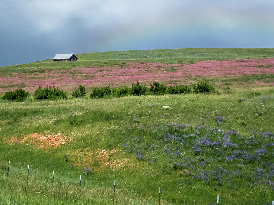 Hillside Barn Rainbow Photograph by Patti Deters