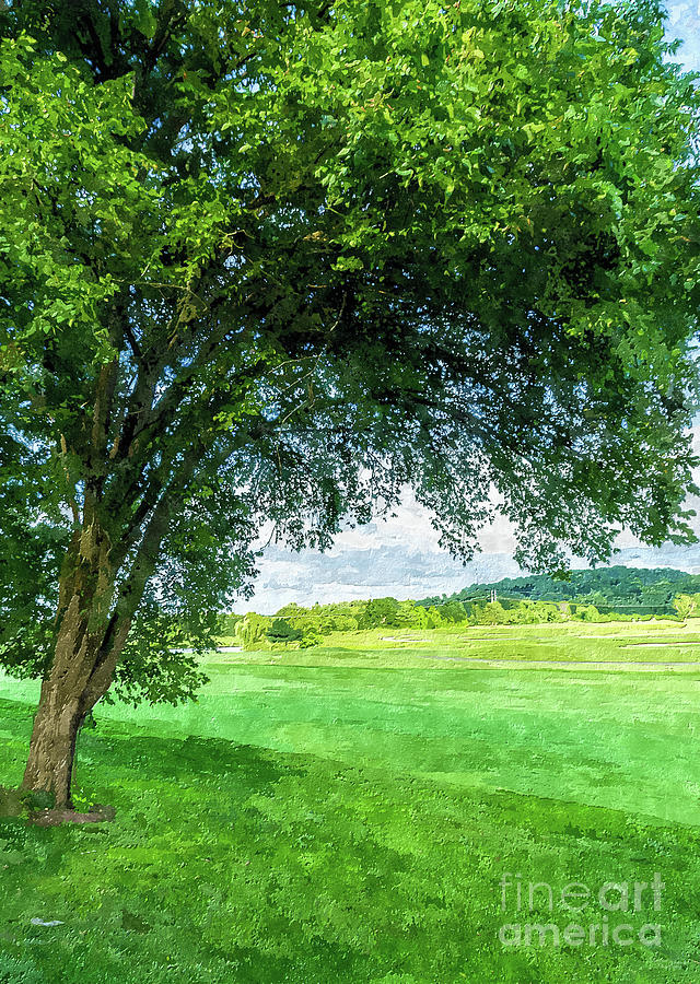 Hillside Golf Course Tree Mixed Media by Jennifer White