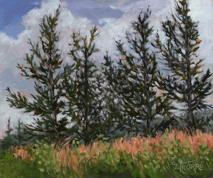 Tree Painting - Hillside Larch Trees by Jane Thorpe