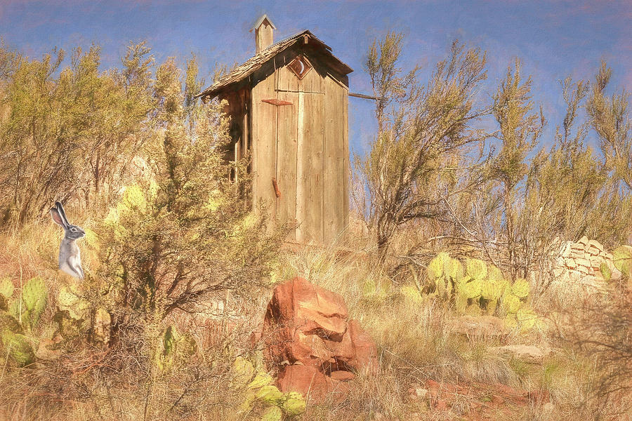 Winter Photograph - Hillside Outhouse in Jerome by Donna Kennedy