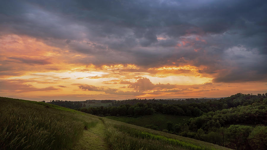 Hillside Sunset Photograph by Jason Fink