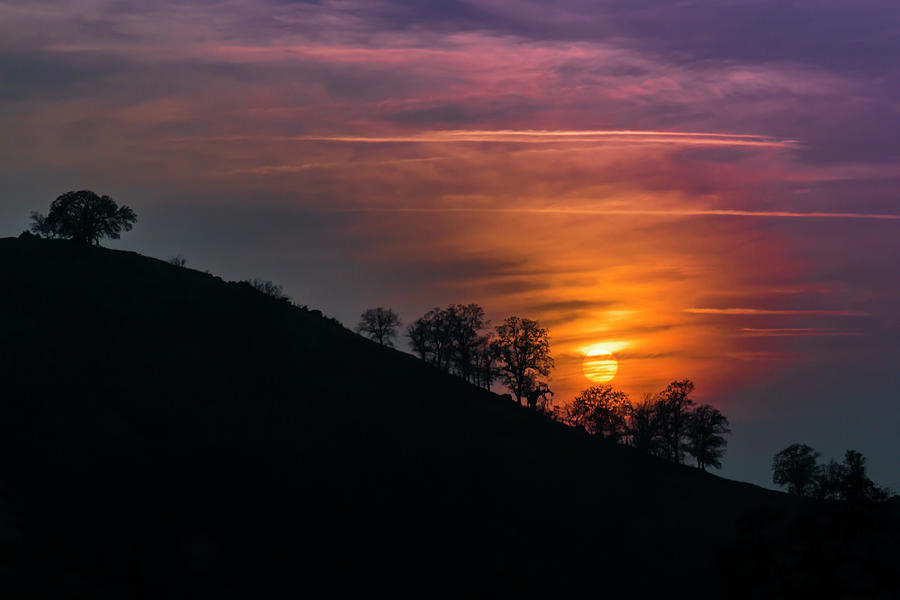 Hillside Sunset Photograph by Patti Deters