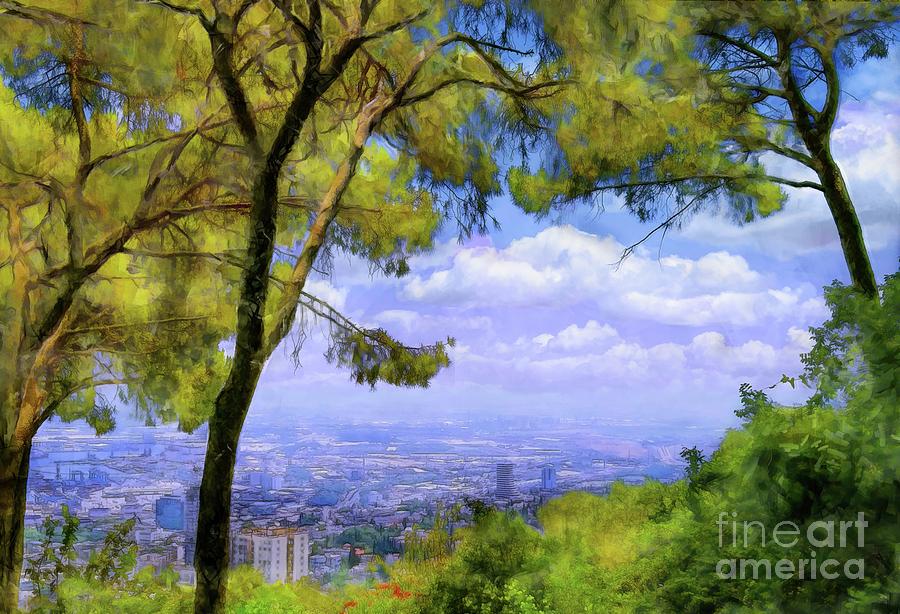 Hilltop in Israel Overlooking Haifa Photograph by Judi Bagwell