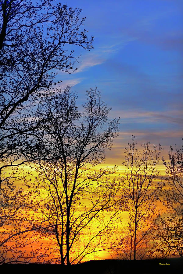 Sunset Photograph - Hilltop Sunset by Christina Rollo