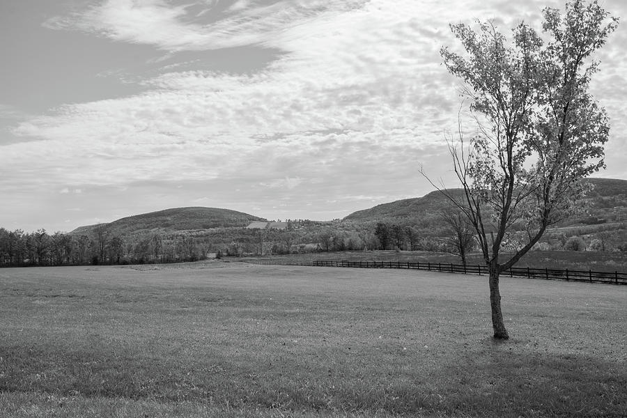 Hilly Landscape - Black and White Photograph by Angie Tirado