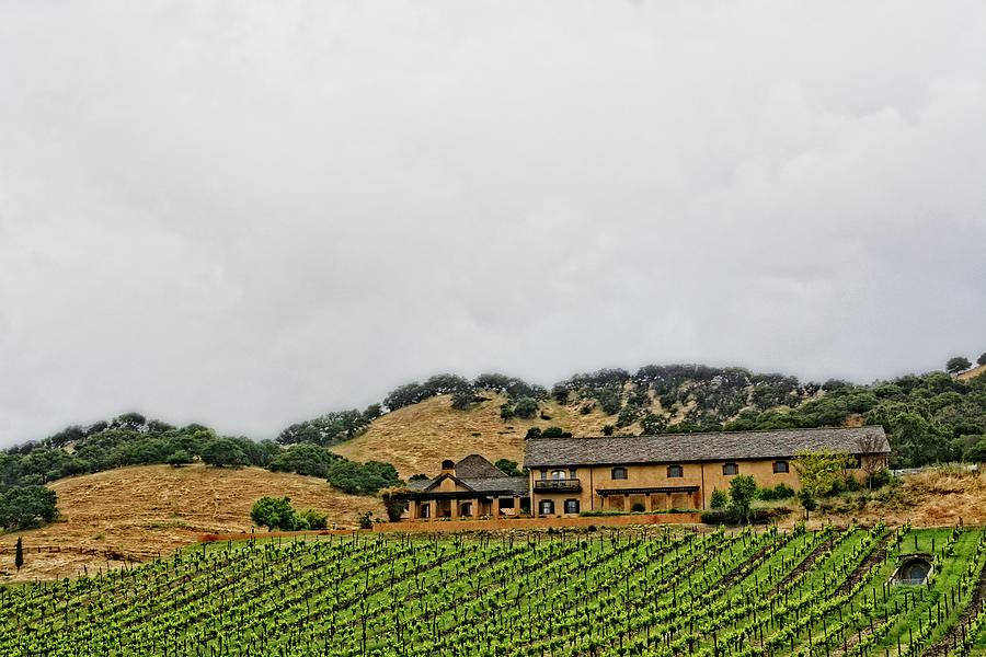 Hilly Wine Country Photograph by Maggy Marsh