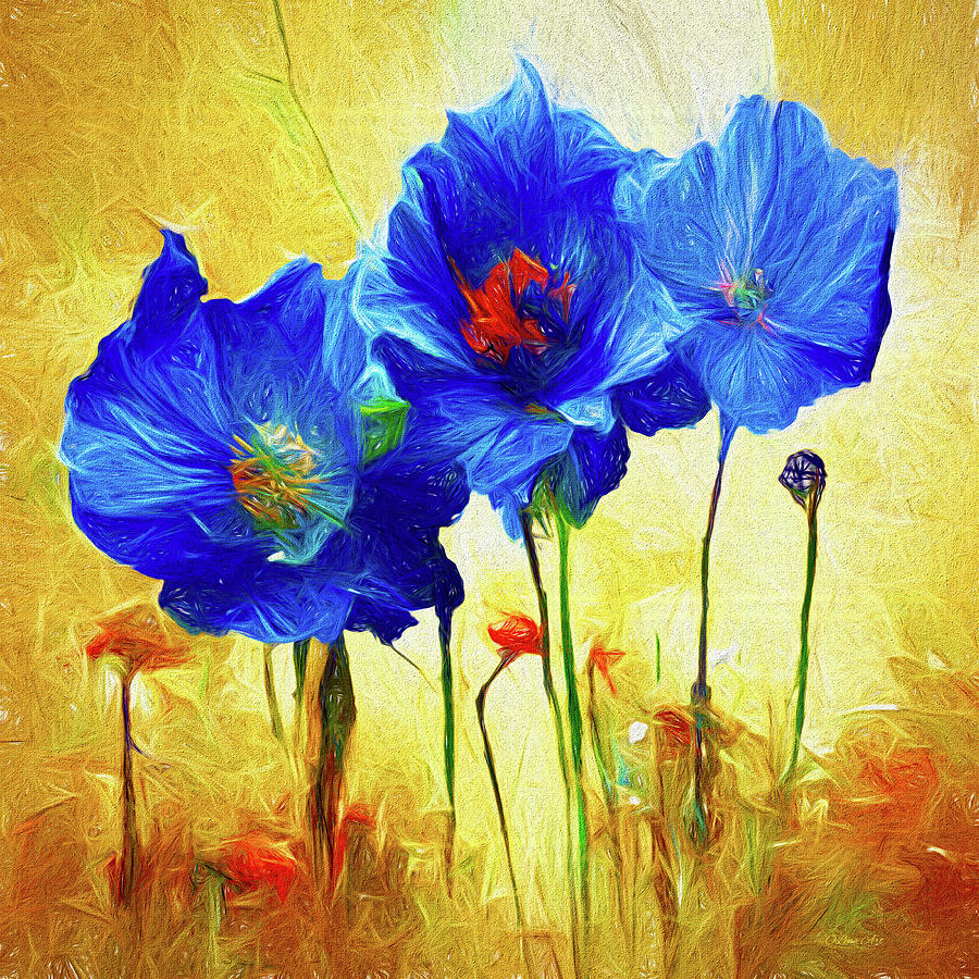 Himalayan Blue Poppy I  Digital Art by Lena Owens - OLena Art Vibrant Palette Knife and Graphic Design