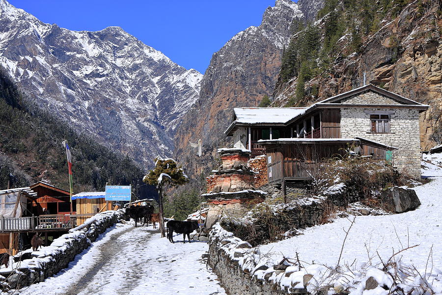 Himalayan Mountain Village Photograph by Aidan Moran