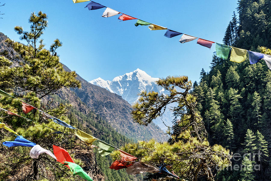 Himalayan Prayer Flags Photograph by Tom Watkins PVminer pixs