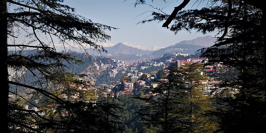 Himachal Pradesh Photograph - Himalayas from Shimla by Jarek Filipowicz