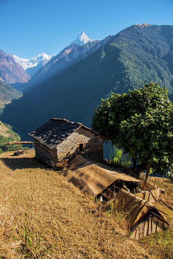Mountain Photograph - Himalayas View by Manjik Pictures