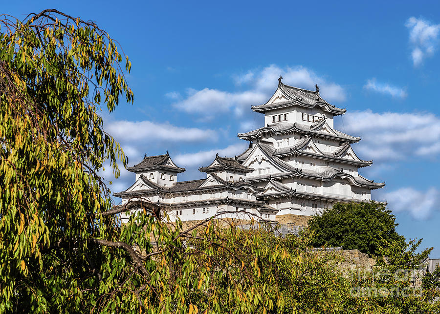 Himeji castle #5, Japan Photograph by Lyl Dil Creations