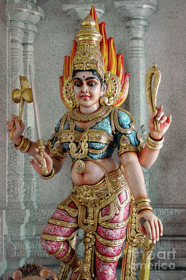 Hindu dieties art - Durga Photograph by Sharon Hudson