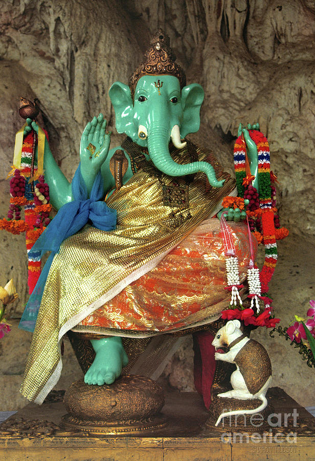Hindu diety - Green Ganesha Photograph by Sharon Hudson