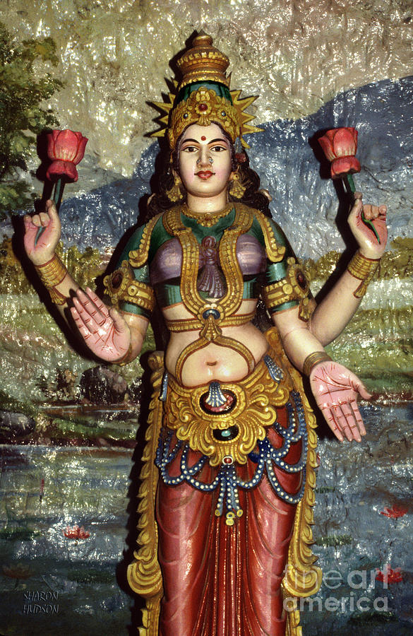 Hindu goddess prints - Lakshmi Photograph by Sharon Hudson