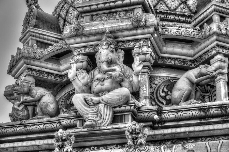 Hindu Temple Elephant  Photograph by David Pyatt