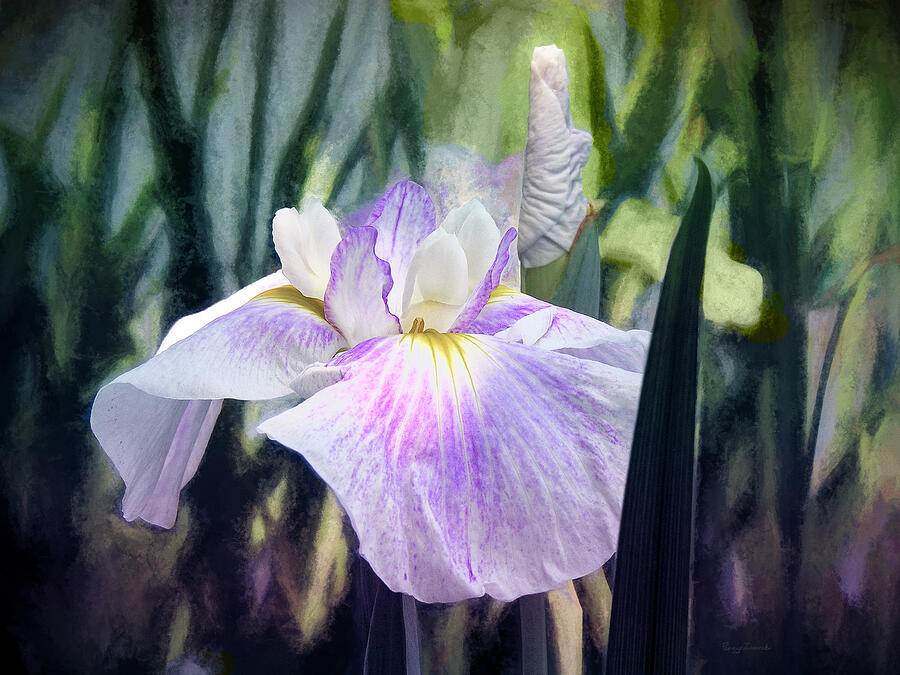 Hint of Purple Iris Photograph by Penny Lisowski