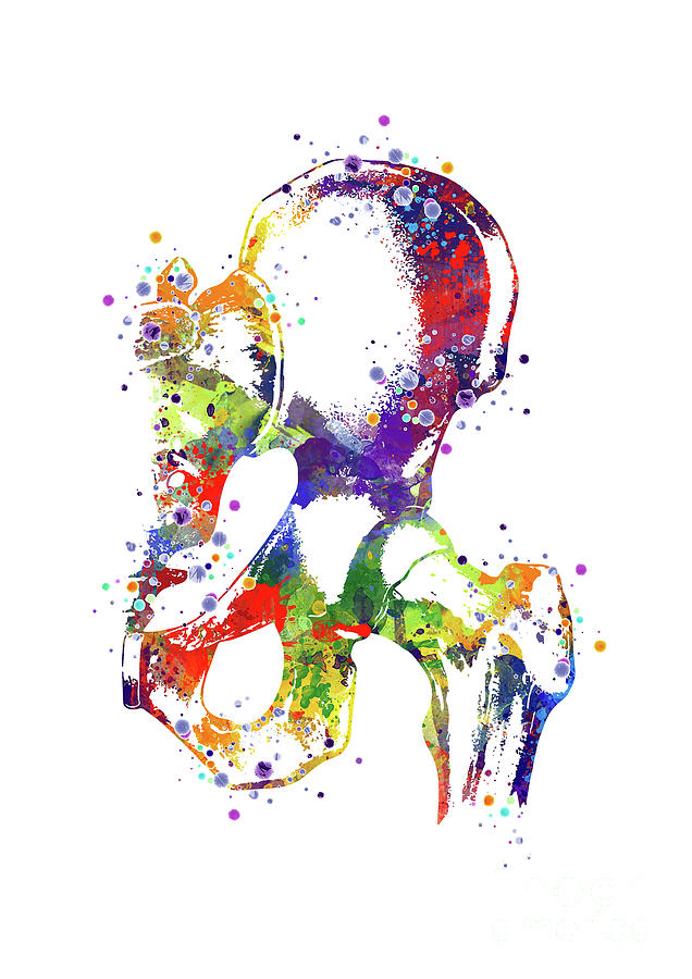 Hip Joint Anatomy Colorful Watercolor Digital Art by White Lotus