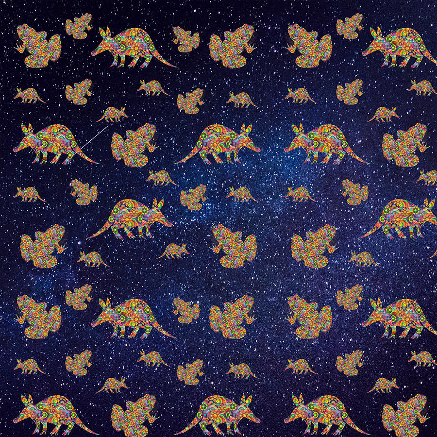 Hippie Aardvarks and Frogs in Outer Space Digital Art by Ali Baucom
