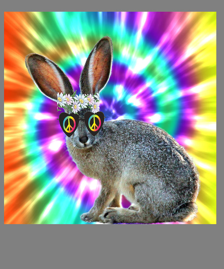 hippie-bunny-rabbit-stacy-mccafferty.jpg