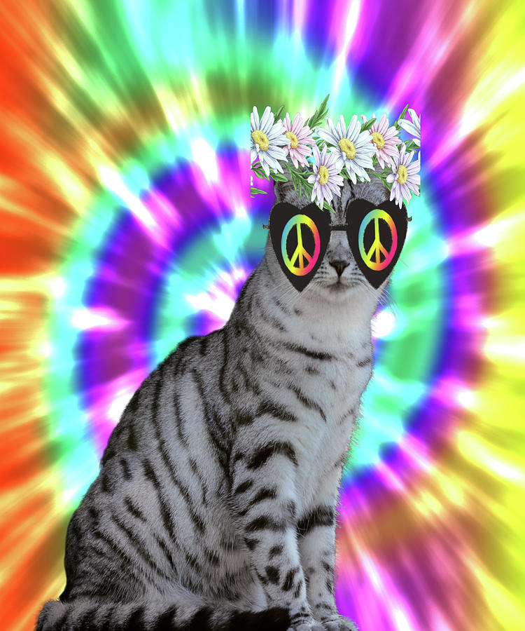 Hippie Cat Digital Art by Stacy McCafferty - Pixels