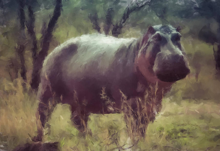 Hippo Painting by Gary Arnold