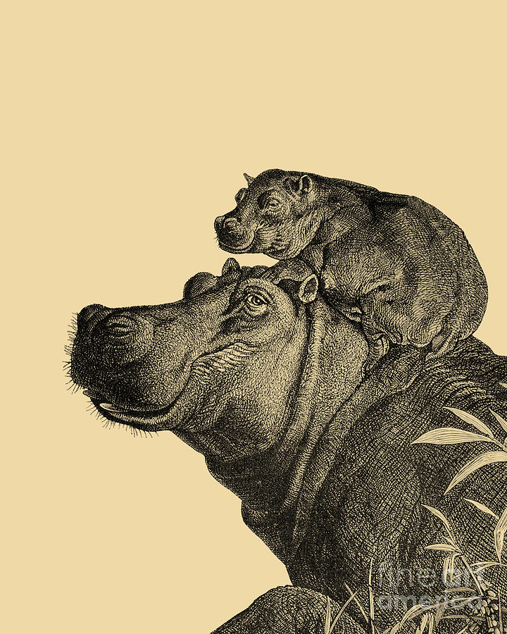 Hippopotamus Digital Art - Hippo Mom With Cute Baby by Madame Memento