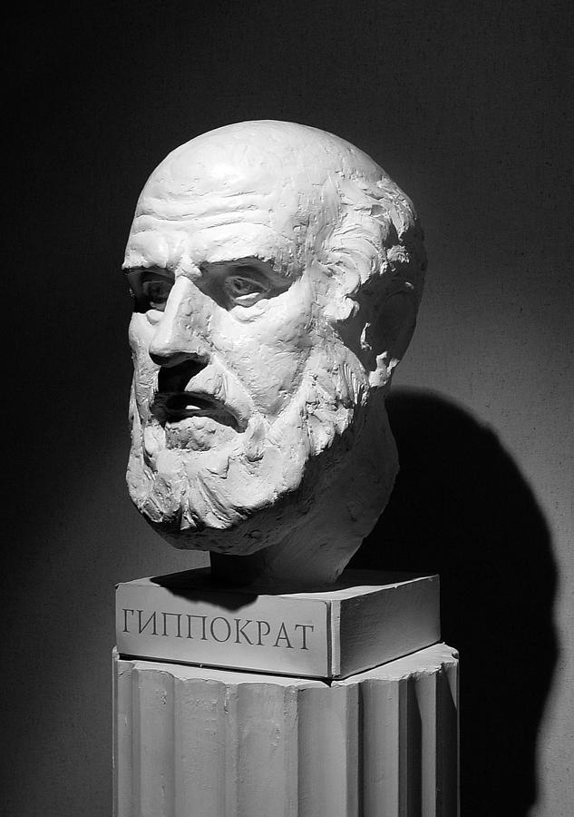 Hippocrats Bust Photograph by PhilSigin