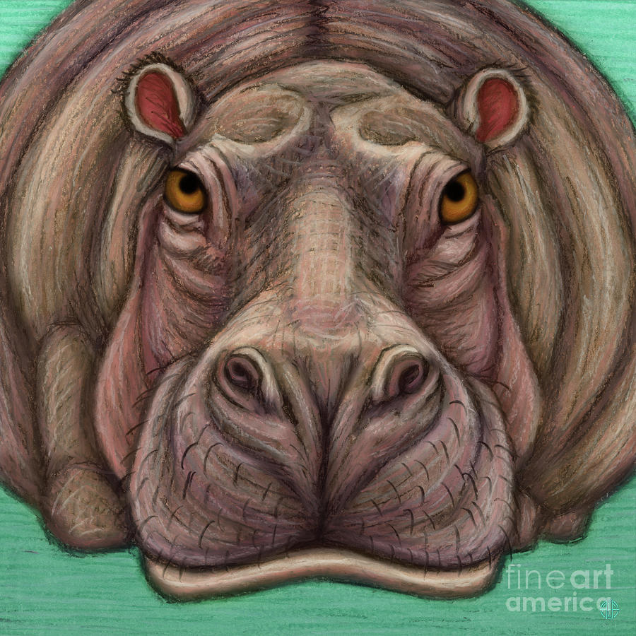 Hippopotamus Painting by Amy E Fraser