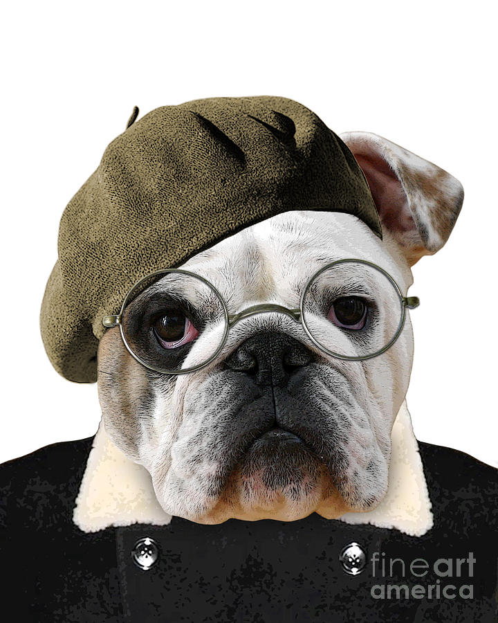 Dog Digital Art - Hipster Bulldog by Madame Memento