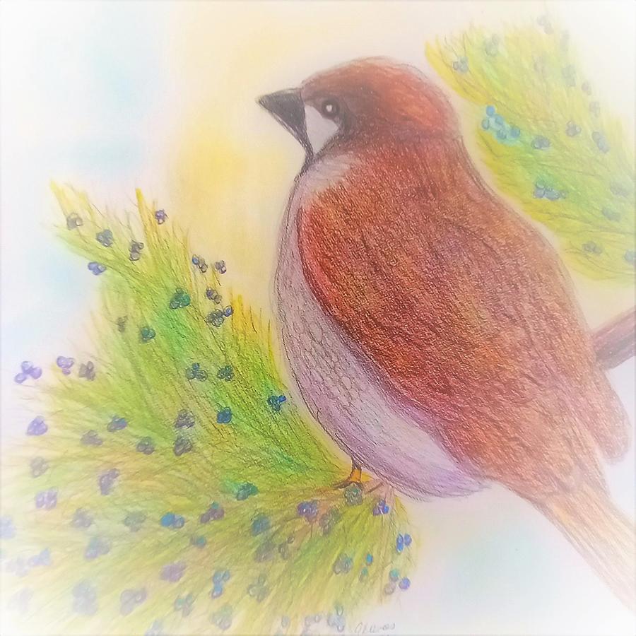 His Eye Is On The Sparrow Drawing by Angela Davies