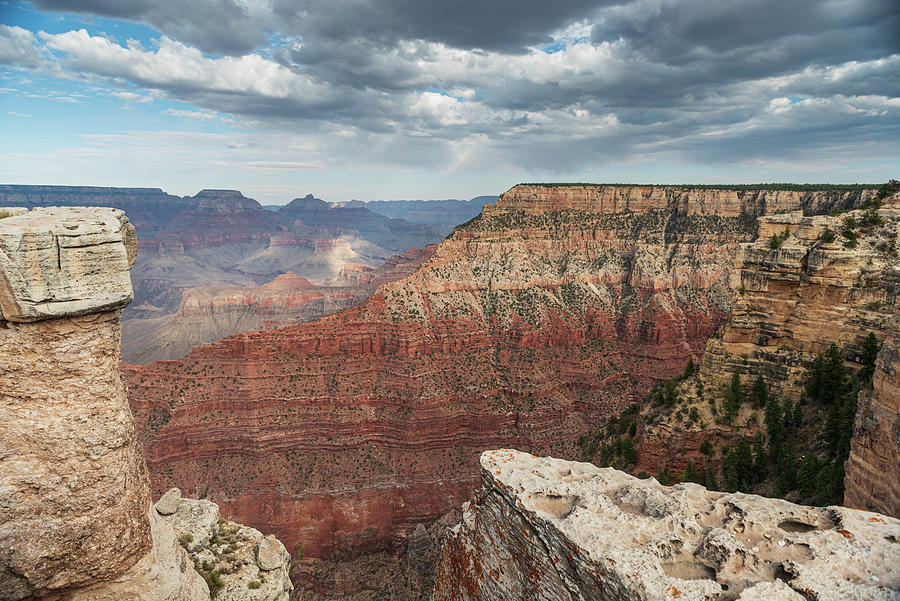 His Majesty Grand Canyon Photograph by Larisa Grib  Fine Art America