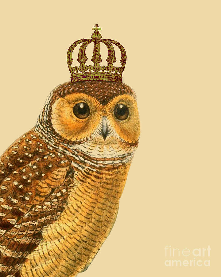Owl Digital Art - his majesty Owl by Madame Memento