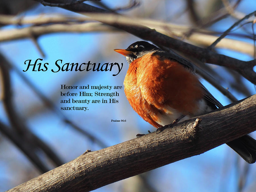 His Sanctuary Photograph by Dennis Burton - Fine Art America