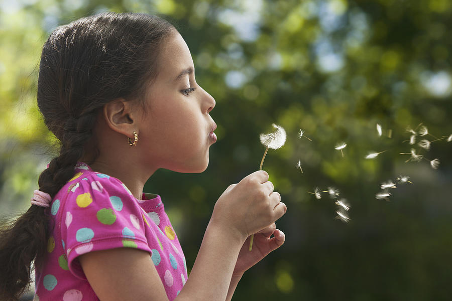 Hispanic girl blowing dandelion seeds Photograph by Jose Luis Pelaez Inc