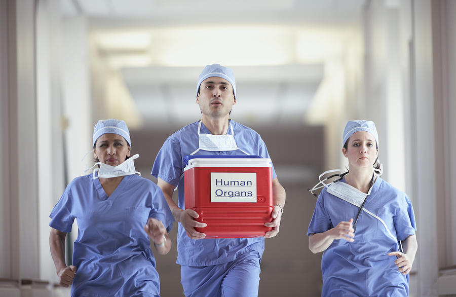 Hispanic medical professionals carrying human organ cooler Photograph by ER Productions Limited