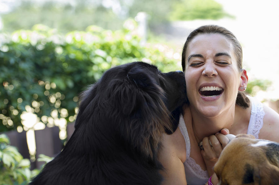 Hispanic woman playing with dogs Photograph by Blend Images - GM Visuals