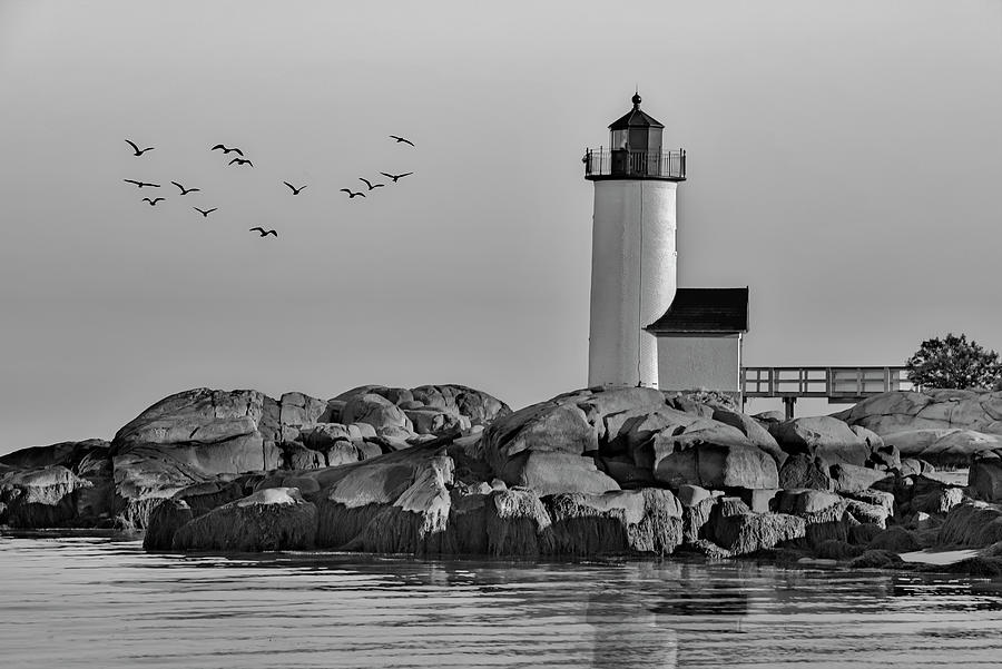 Historic Annisquam Lighthouse  BW Photograph by Susan Candelario