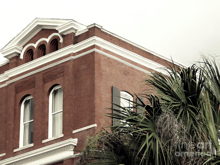 Historic Architecture and Palm Fronds  Photograph by Theresa Fairchild