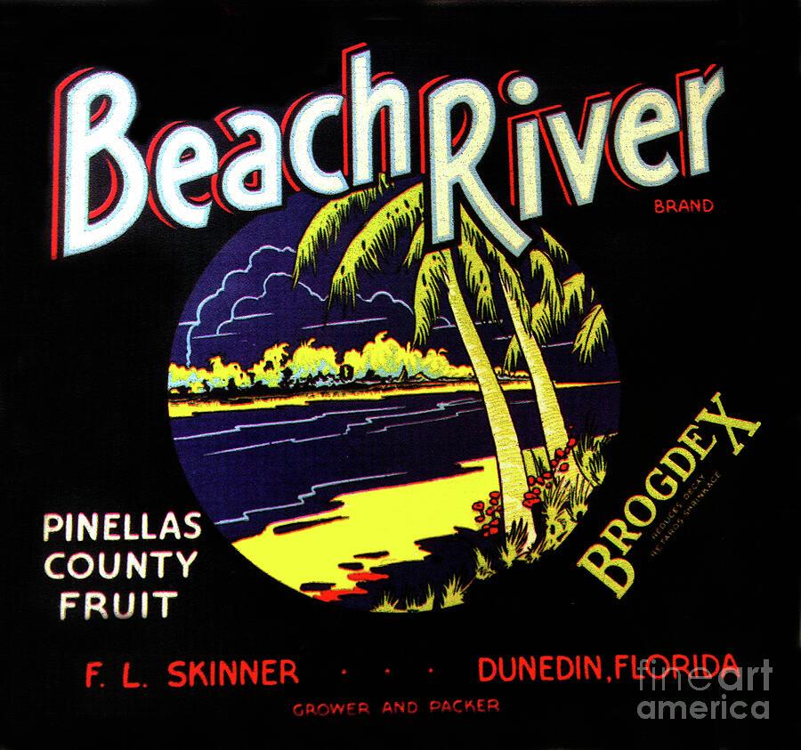 Historic Beach River Florida citrus label Photograph by David Lee ...