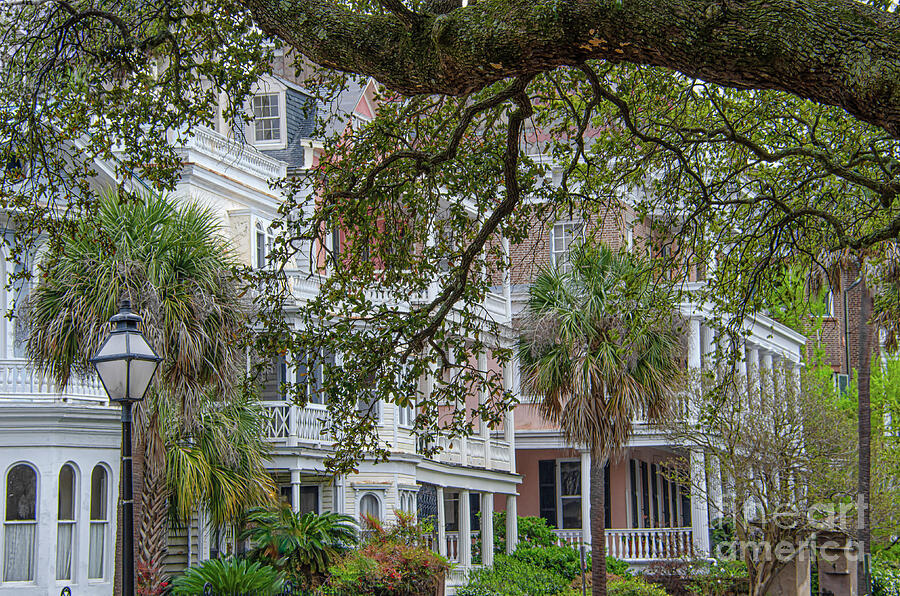 Architecture Photograph - Historic Charleston Charm and Grace  by Dale Powell