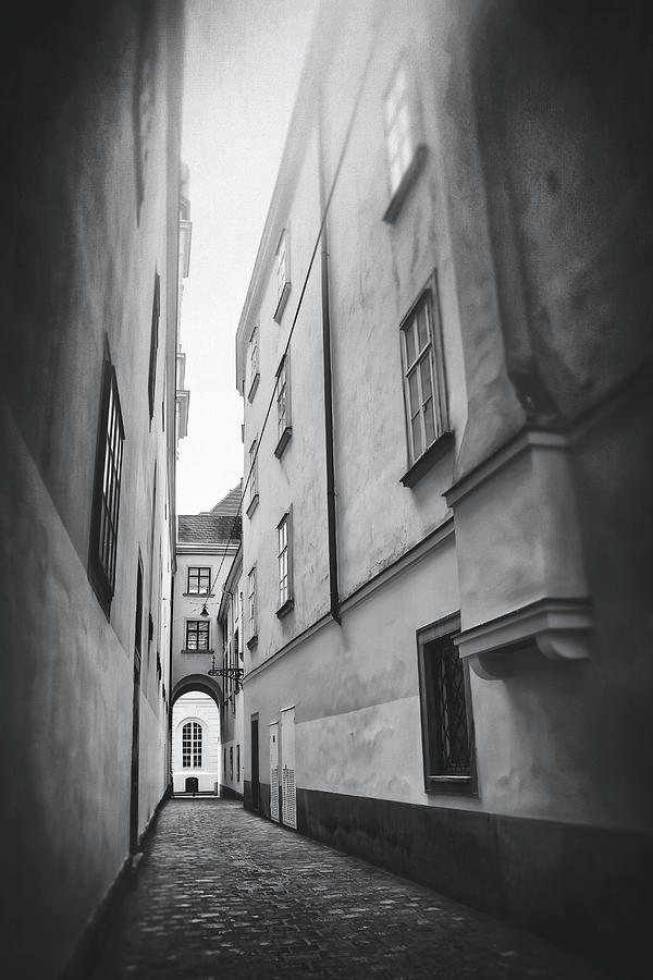 Historic Cobblestone Streets of Old Vienna Austria Black and White Photograph by Carol Japp